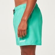 Beach Volley 16" Beachshort - Mint Green