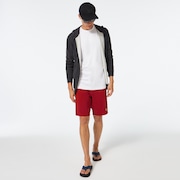 Palms B1B 20" Boardshort - Iron Red