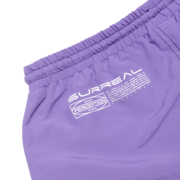 Perception Shorts - Blue Wash