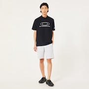 Lunar Rock