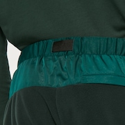 Wanderlust Cargo Pant - Green/Mountain Td Print