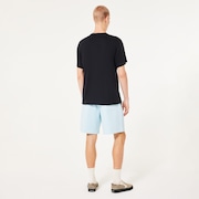 Marine Park Hybrid 19" Short - Frost