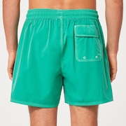 Robinson Rc 16" Beachshort - Mint Green