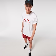 All Day 16 Beach Short - Iron Red