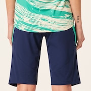 W. Seeker Airline Short - Green/Blue