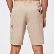 Cruiser Cargo Hybrid 21 - Safari