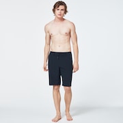 Cruiser Cargo Hybrid 21 - Blackout