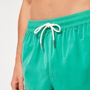 Robinson Rc 16" Beachshort - Mint Green