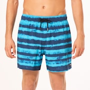 Blur Stripes Rc 16" Beachshort - Blurred Stripe Blue