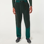 Wanderlust Cargo Pant - Green/Mountain Td Print
