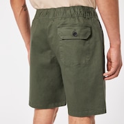 Marine Park Hybrid 19" Short - New Dark Brush