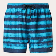 Blur Stripes Rc 16" Beachshort - Blurred Stripe Blue