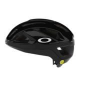 ARO3 ENDURANCE -MIPS - Polished Black