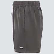 Robinson Rc 16" Beachshort - Blackout