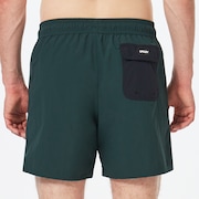 All Day 16 Beach Short - Hunter Green