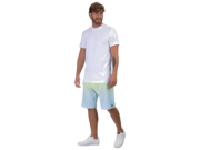 Fade Nomad Boardshort - Blue Tint