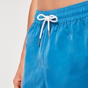 Robinson Rc 16" Beachshort - Bright Blue