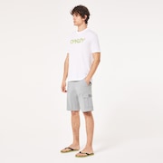 B1B Cargo Hybrid Short - New Granite Hthr