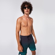Shades 19 Boardshort - Black/Green Stripes