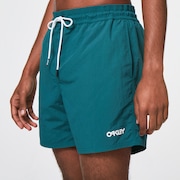 All Day 16 Beach Short - Bayberry
