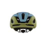 ARO5 RACE - MIPS - Matte Stonewash Fern