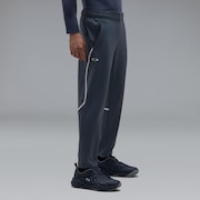 3Rdg Synchronism Pants 9.7