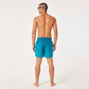 Gradient 16'' Beachshort - Blue Gradient