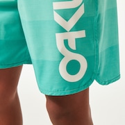Retro Mark 19" Boardshort - Mint Green