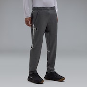 3Rdg Synchronism Pants 9.7