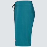 Palms B1B 20" Boardshort - Bayberry