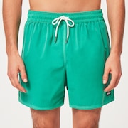 Robinson Rc 16" Beachshort - Mint Green