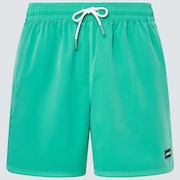 Robinson Rc 16" Beachshort - Mint Green
