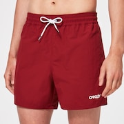 All Day 16 Beach Short - Iron Red
