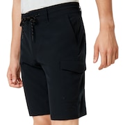 Cruiser Cargo Hybrid 21 - Blackout