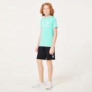 Aqua Green