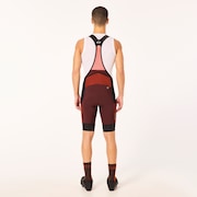Oakley Off Grid Cargo Bib Short in Grenache | Oakley® US