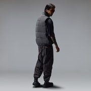 Fgl Fort Pants 1.0 - Phantom