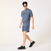 Allmighty Shorts 5.0Inch 2.0 - Gray Dust