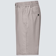 Chino 19 Hybrid Short - Storm Front