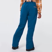 Cedar Ridge 3.0 BZI Pant - New Balsam