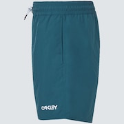 All Day 16 Beach Short - Bayberry