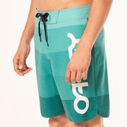 Retro Mark 19" Boardshort - Viridian