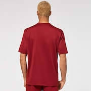 All Days Rashguard - Iron Red