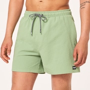 Porto Rc 16" Beachshort 2.0 - New Jade