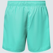 Beach Volley 16" Beachshort - Mint Green