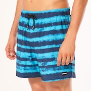 Blur Stripes Rc 16" Beachshort - Blurred Stripe Blue