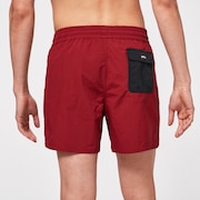 All Day 16 Beach Short - Iron Red