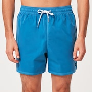 Robinson Rc 16" Beachshort - Bright Blue