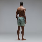 Gradient 16'' Beachshort - Gradient Aviator Green