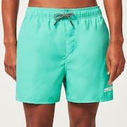 Beach Volley 16" Beachshort - Mint Green